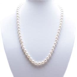 Pearl Necklace - AA+ 6.5mm Round - 17'' with gold clasp