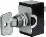 Replacement Key for Switch 0-495-60-0-495-99