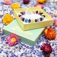 Birdsong B2 Bracelet (Available in 2 Sizes) was £19.99