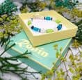 Holiday B1 Bracelet (Available in 2 Sizes) was £19.99