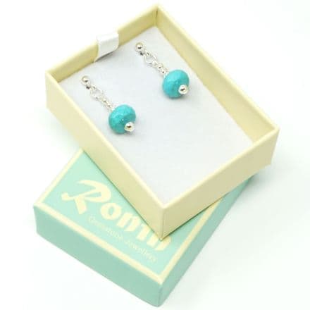 Swimming Pool E1 Earrings