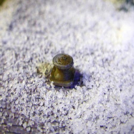 AX066-OO 3D Printed Canal/Quayside Mooring Bollards (Pack of 24) OO/4mm/1:76