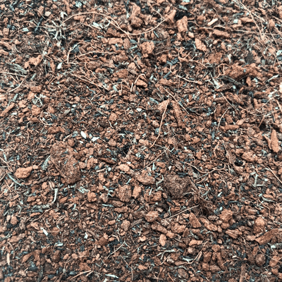 BR010-OO Forest Floor Instant Scatter (100ml)