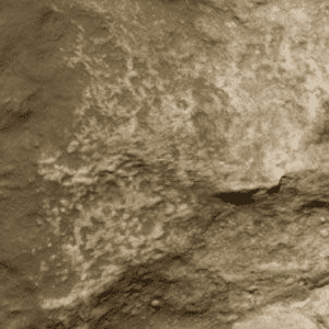 Earth Undercoat Terrain Paint by Woodland Scenics C1229