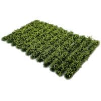 FB019 Bramble Strips