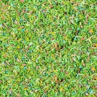 Gaugemaster GM1200 Flower Meadow Grass Scatter For Model Railways