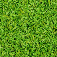 Gaugemaster GM1201 Light Green Scatter