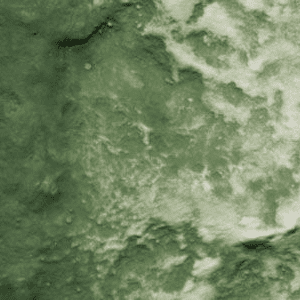 Green Undercoat Terrain Paint by Woodland Scenics C1228