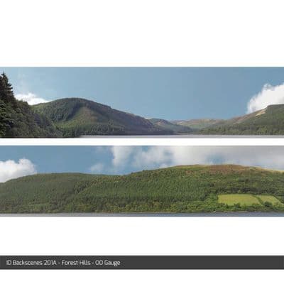 ID Backscenes 201A Forest Hills OO/HO 15