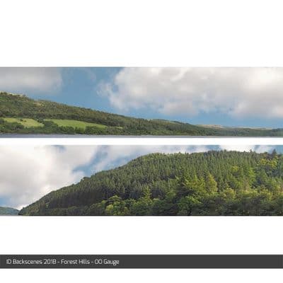 ID Backscenes 201B Forest Hills OO/HO 15