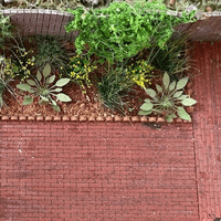 Wooden Ladders for OO Gauge Model Railways | Pack of 10 | MP108-OO