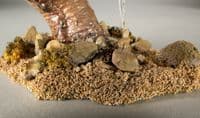 Natural Blend Sand by All Game Terrain G6519