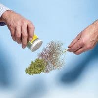 Noch Seafoam Trees For Model Trees on OO/HO/N Scale Model Railways - 23100