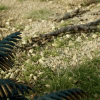 Static Grass Shaker Kit by All Game Terrain G6595