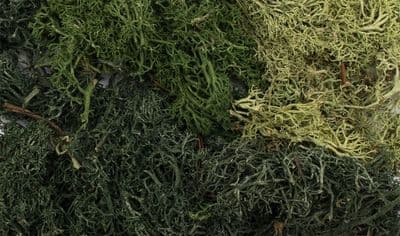 Summer Mix EZ Bushes by All Game Terrain G6501