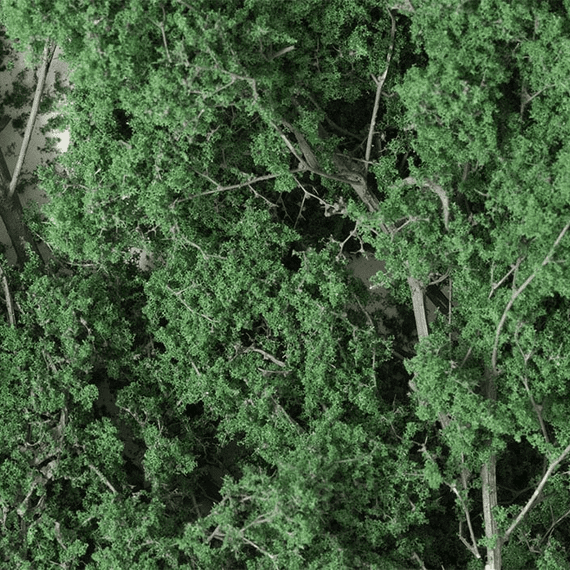 Woodland Scenics F1130 Fine-Leaf Foliage™ Dark Green