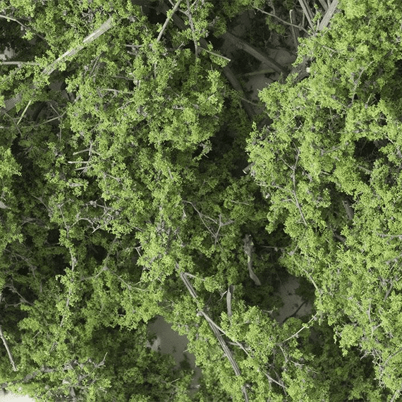 Woodland Scenics F1131 Fine-Leaf Foliage™ Medium Green