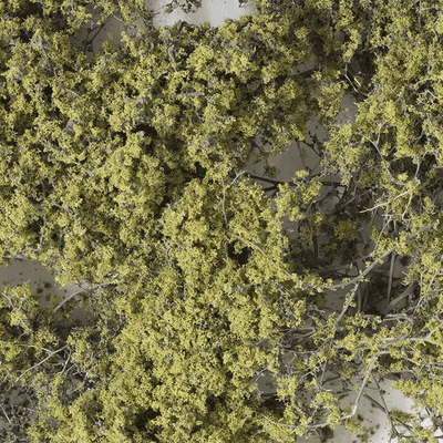 Woodland Scenics F1133 Fine-Leaf Foliage™ Olive Green
