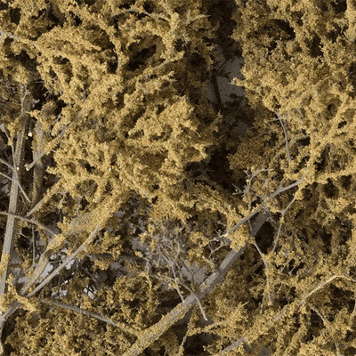 Woodland Scenics F1134 Fine-Leaf Foliage™ Dead Foliage