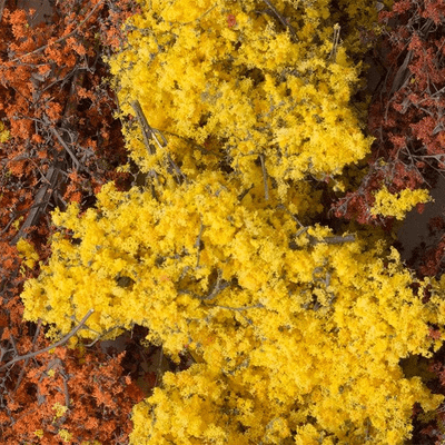 Woodland Scenics F1135 Fine-Leaf Foliage™ Autumn/Fall Mix