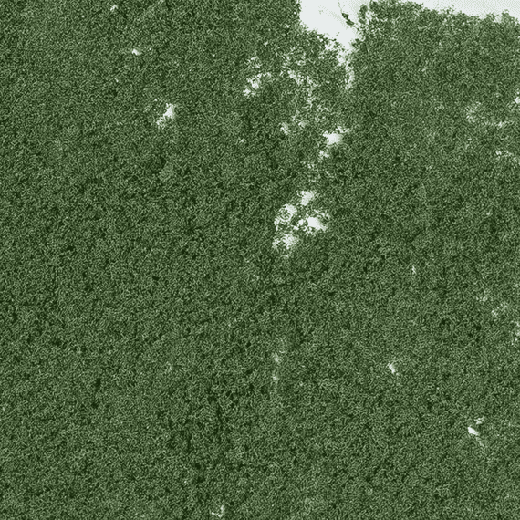 Woodland Scenics F53 Dark Green Foliage