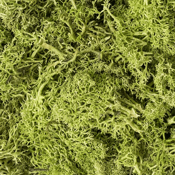 Woodland Scenics L162 Light Green Lichen