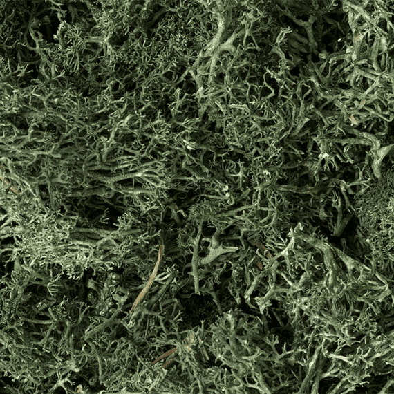 Woodland Scenics L164 Dark Green Lichen