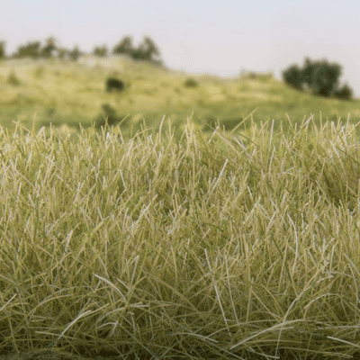 Woodland Scenics Light Green Static Grass