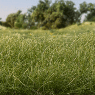 Woodland Scenics Medium Green Static Grass