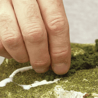 Woodland Scenics S190 Scenic Glue 8oz