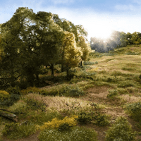 Woodland Scenics Light Green Static Grass - 2mm | 4mm | 7mm | 12mm