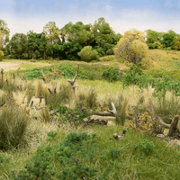 Woodland Scenics Tuft Tac – Easily Model Grass Tufts