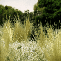 Woodland Scenics Tuft Tac – Easily Model Grass Tufts