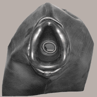 1.05mm Thick Latex Inflatable Medical Mask with 2 Air Bags and T Bar