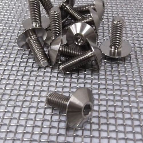 M6 Panel screws