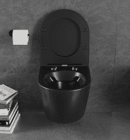 GEBERIT DUOFIX UP100 FRAME FLUSH PLATE MATT BLAC WALL HUNG RIMLESS WC LENA BLACK MATT FRESH SYSTEM