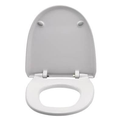 Geberit Seat and Lid for AquaClean 8000plus 250.034.11.1