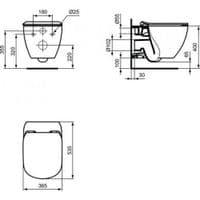 IDEAL STANDARD WALL HUNG TESI AQUABLADE WC + TESI BIDET + GROHE RAPID SL FRAMES