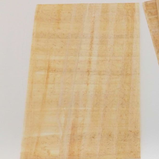 1 Sheet Genuine Egyptian Papyrus Paper Blank Great for Artwork and Craft Use
