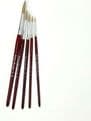 Handmade Sable Artist Paint Brushes Pack of 5 Sizes 0,2,4,6,8