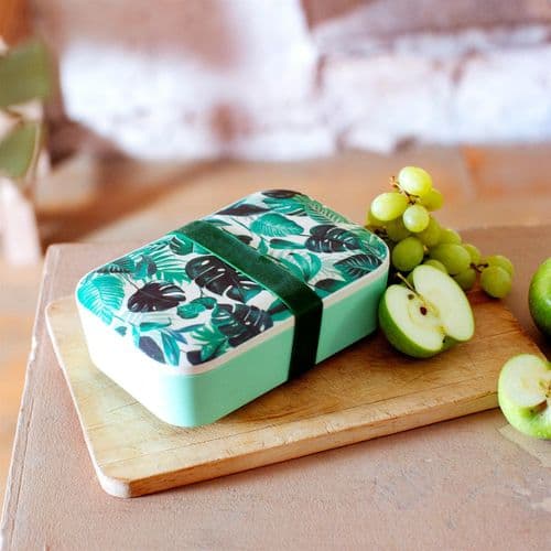 Sass and belle lunch box sales