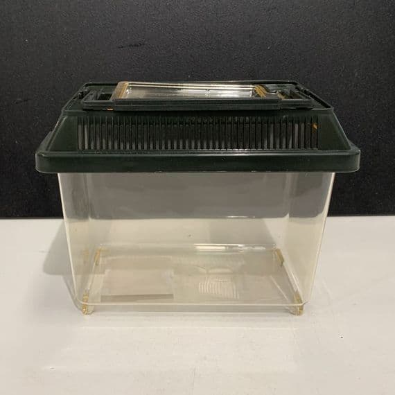 fish holding tank