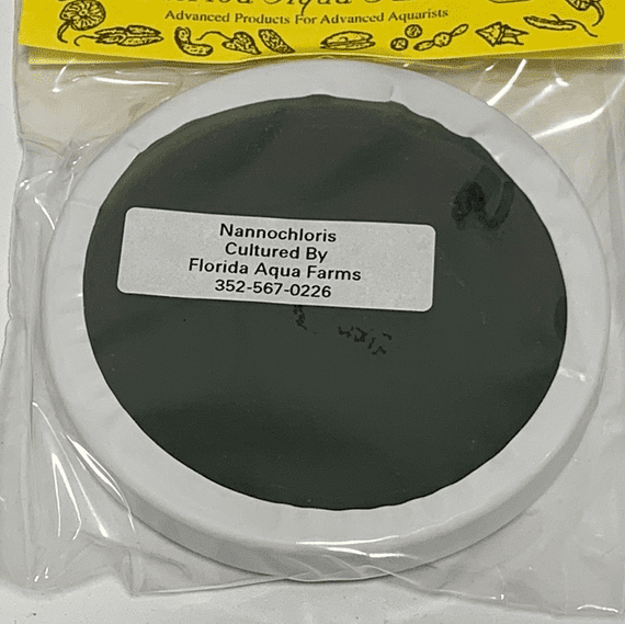 FLORIDA AQUA FARMS  Algae Culture Plate Nannochloris oculata marine microalgae 1.5 - 2.5um