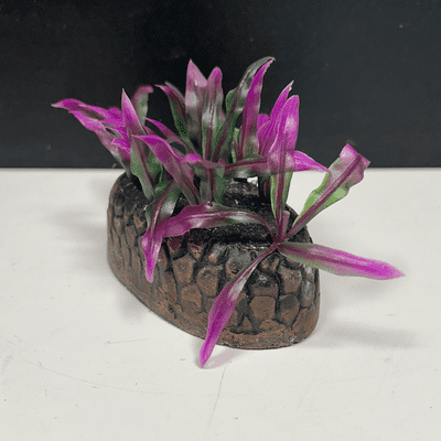 Habitat enrichment - Curacao island x5