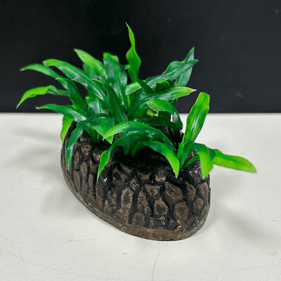 Habitat enrichment - Kefalonia island x5