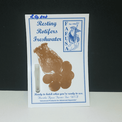 Live freshwater resting rotifer cysts