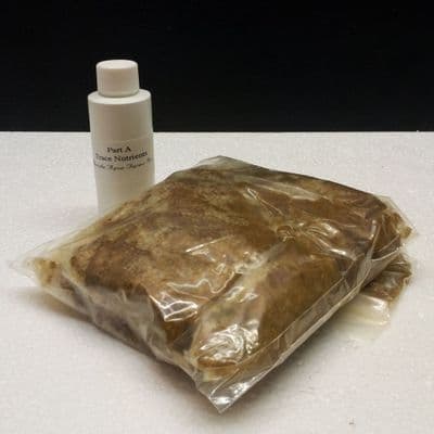 Micro Algae Grow MAX PACK makes 4L