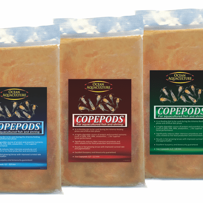 Ocean Aquaculture Copepods SPF - Large 1.2- 1.8mm