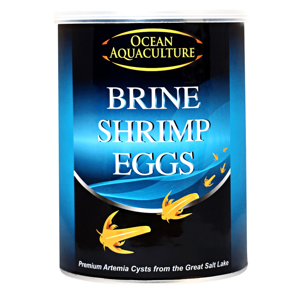 Ocean Aquaculture GSL Artemia Cysts 90 hatch