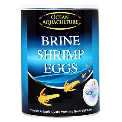 Ocean Aquaculture  Sep-Art Artemia Cysts 80% ADVANCE ORDER